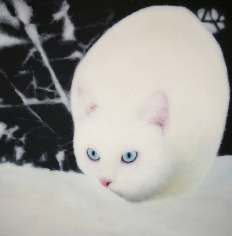 z.t. (snowcat)acryl